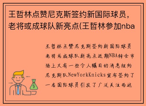 王哲林点赞尼克斯签约新国际球员，老将或成球队新亮点(王哲林参加nba)