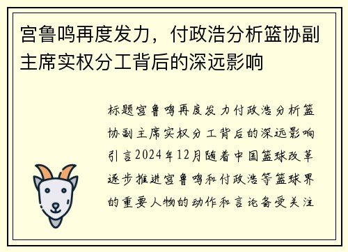 宫鲁鸣再度发力，付政浩分析篮协副主席实权分工背后的深远影响