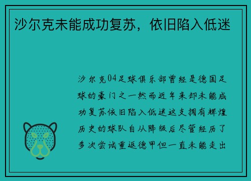 沙尔克未能成功复苏，依旧陷入低迷
